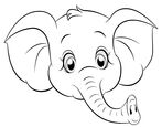 Elefant_Kopf