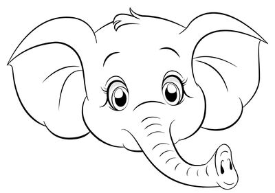 Elefant_Kopf