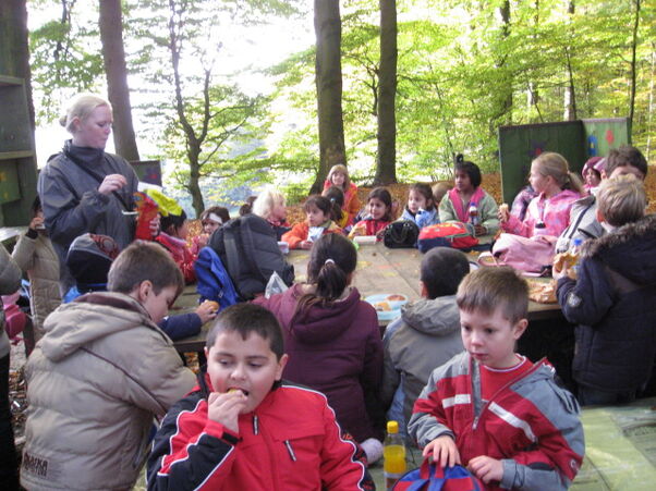 Frühstück im Wald
