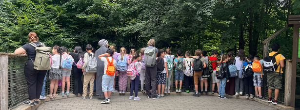 Gruppe
