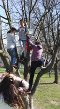 IMG_20170330_112105 IMG_20170330_112105
