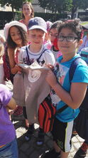 IMG_20170621_094205 IMG_20170621_094205