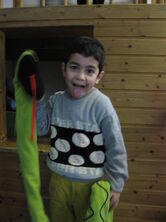 IMG_0356 IMG_0356