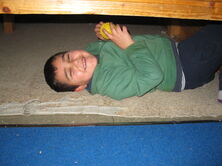IMG_0377 IMG_0377