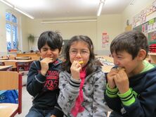 IMG_0235_4000x3000_1960x1470 IMG_0235_4000x3000_1960x1470