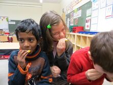 IMG_0237_4000x3000_1960x1470 IMG_0237_4000x3000_1960x1470