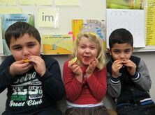 IMG_0241_4000x3000_1960x1470 IMG_0241_4000x3000_1960x1470