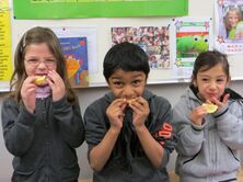 IMG_0243_4000x3000_1960x1470 IMG_0243_4000x3000_1960x1470