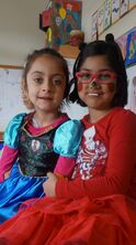 DSC00211_2407x1352 DSC00211_2407x1352