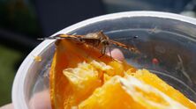 DSC00508_2407x1352 DSC00508_2407x1352