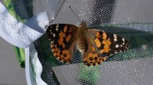 DSC00510_2407x1352 DSC00510_2407x1352