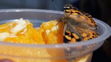 DSC00513_2407x1352 DSC00513_2407x1352