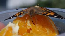 DSC00517_2407x1352 DSC00517_2407x1352