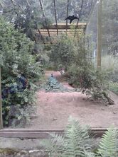 IMG-20140630-WA0004 IMG-20140630-WA0004