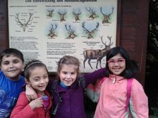 IMG-20140630-WA0023 IMG-20140630-WA0023