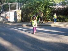 IMG_0027_3648x2736 IMG_0027_3648x2736