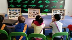 IMG-20150323-WA0002_768x432 IMG-20150323-WA0002_768x432