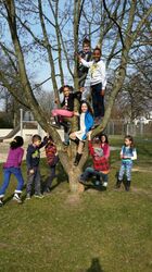 IMG-20150318-WA0006_432x768_-_Kopie IMG-20150318-WA0006_432x768_-_Kopie