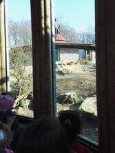 IMG_20160314_100217_1555x2061 IMG_20160314_100217_1555x2061