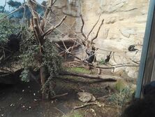 IMG_20160314_104025_2061x1555 IMG_20160314_104025_2061x1555