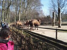 IMG_20160314_110519_2061x1555 IMG_20160314_110519_2061x1555