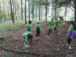 IMG_20160915_101258__Copy_ IMG_20160915_101258__Copy_