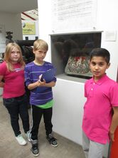 IMG_0384_1382x1037 IMG_0384_1382x1037