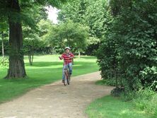 IMG_0429_1382x1037 IMG_0429_1382x1037