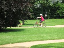 IMG_0432_1382x1037 IMG_0432_1382x1037