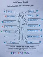 Klicken zum Vergrößern Klicken zum Vergrößern