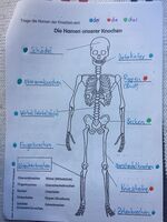 Klicken zum Vergrößern Klicken zum Vergrößern