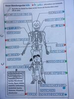 Klicken zum Vergrößern Klicken zum Vergrößern