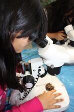 IMG_0403_1504x2256 IMG_0403_1504x2256