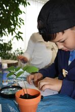 IMG_0423_1504x2256 IMG_0423_1504x2256