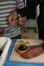 IMG_0442_1504x2256 IMG_0442_1504x2256