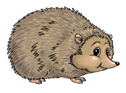 image8.png